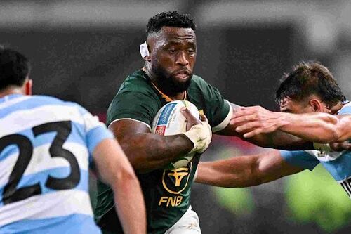 Kolisi braces for wounded Pumas to come out fighting