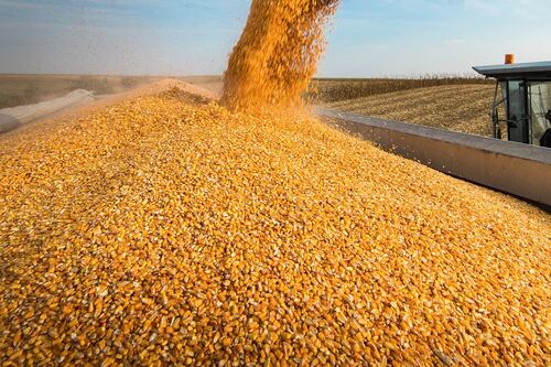 PODCAST: Another boost for South Africa’s harvest