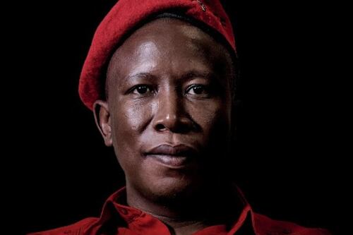 BIG READ: Tender comrades — how Malema bankrolled his party
